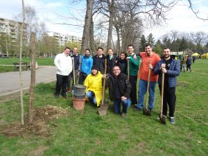 Sutherland Green Week Project