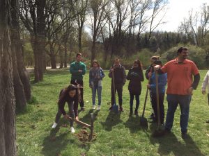 Sutherland Green Week Project